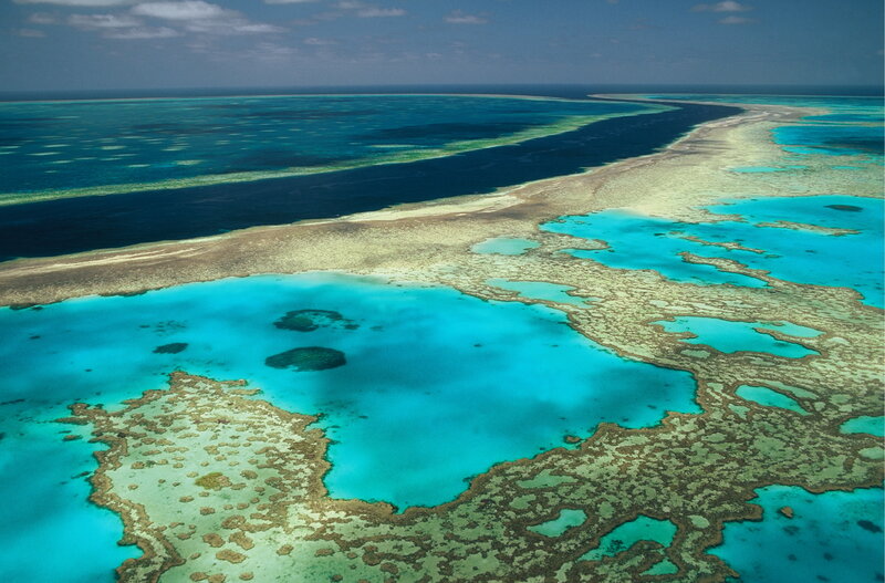 Aerial view of coral reef