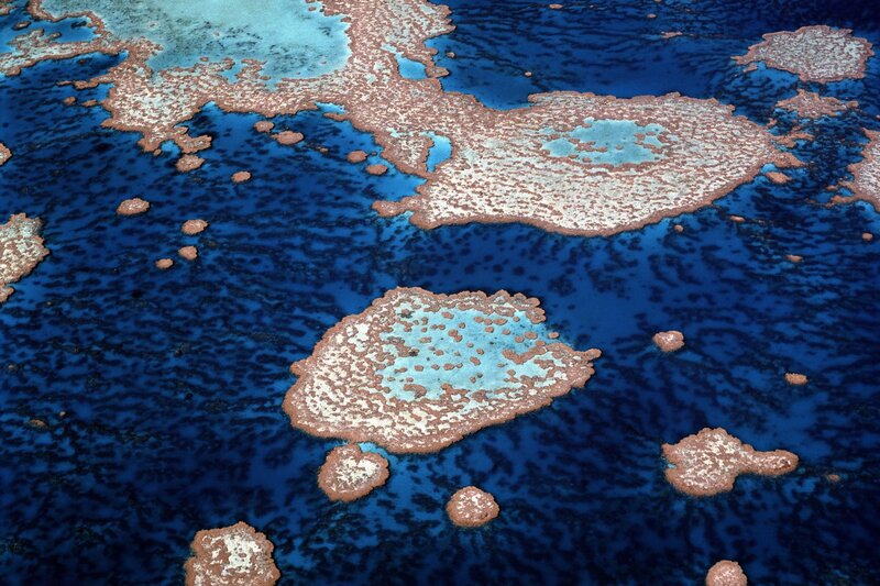 Aerial view of coral reefs