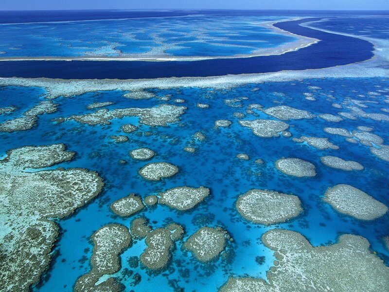 Aerial view of coral reefs