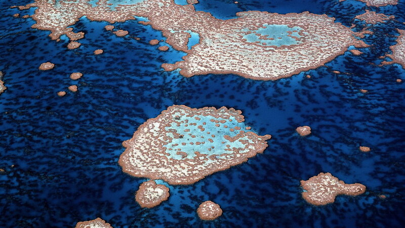 Aerial view of coral reefs