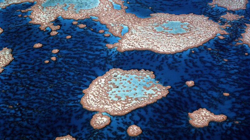 aerial view of coral reefs