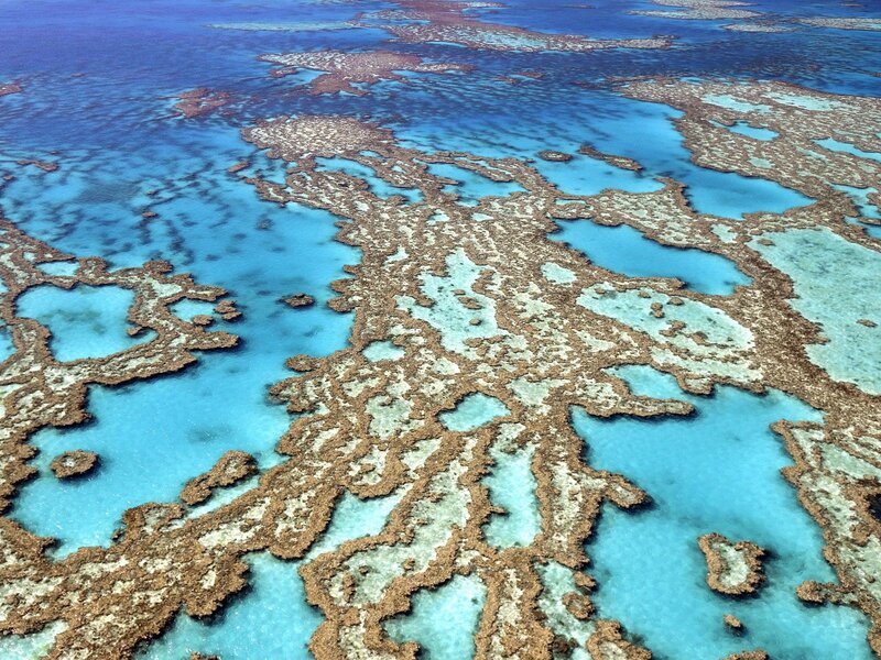 Aerial view of coral reefs