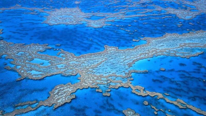 Aerial view of coral reefs