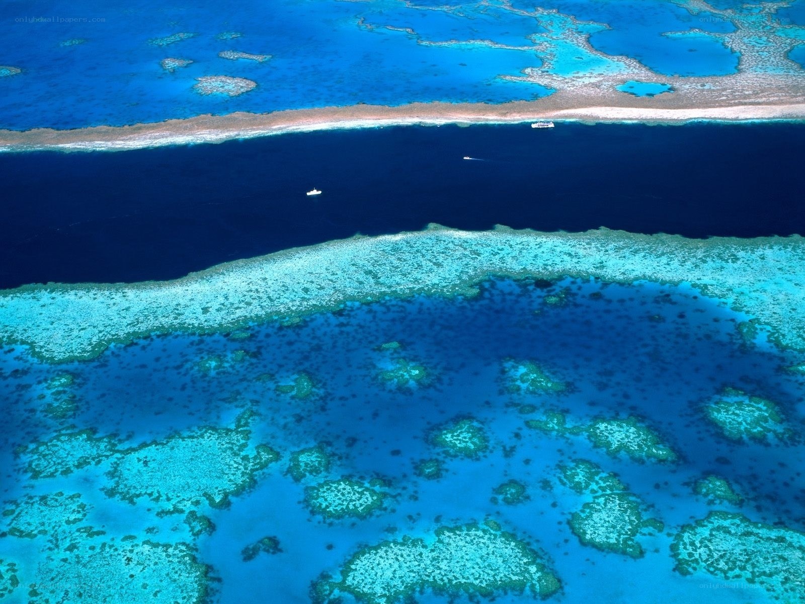 Aerial view of coral reefs