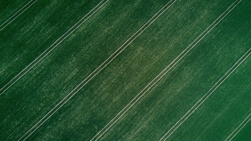 Aerial View of Crop Field
