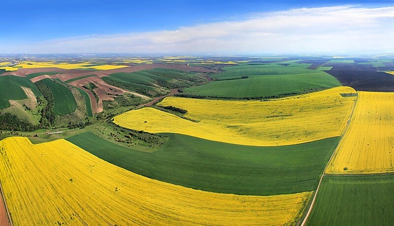 Aerial View of Crop Fields