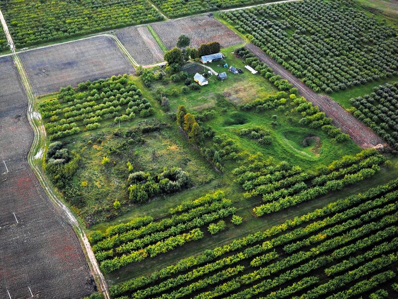 Aerial view of farm and orchards