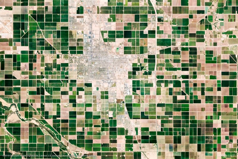 Aerial View of Farmland — Green, Neutral, Photograph