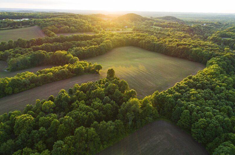 Aerial View of Fields and Forest