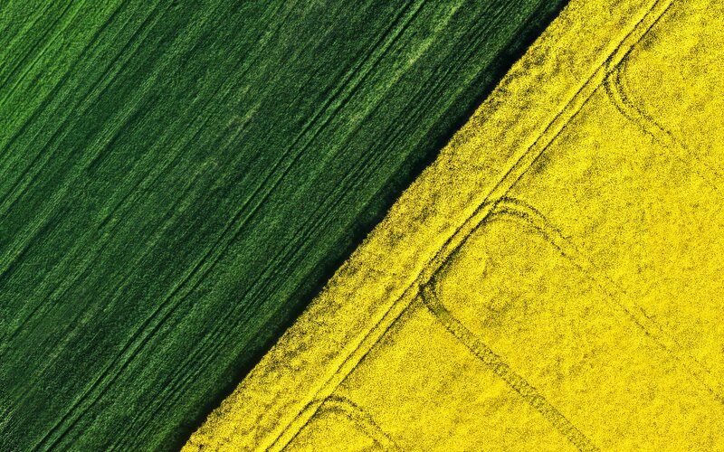 Aerial View of Fields — Green, Calm