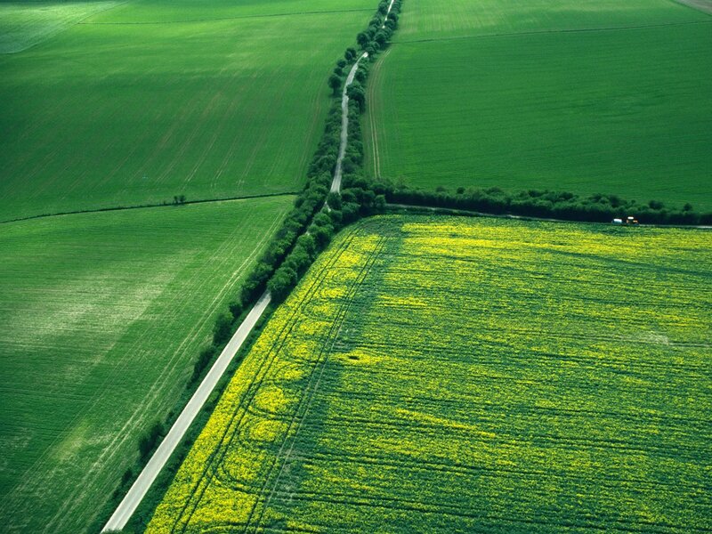 Aerial View of Fields — Green, Serene