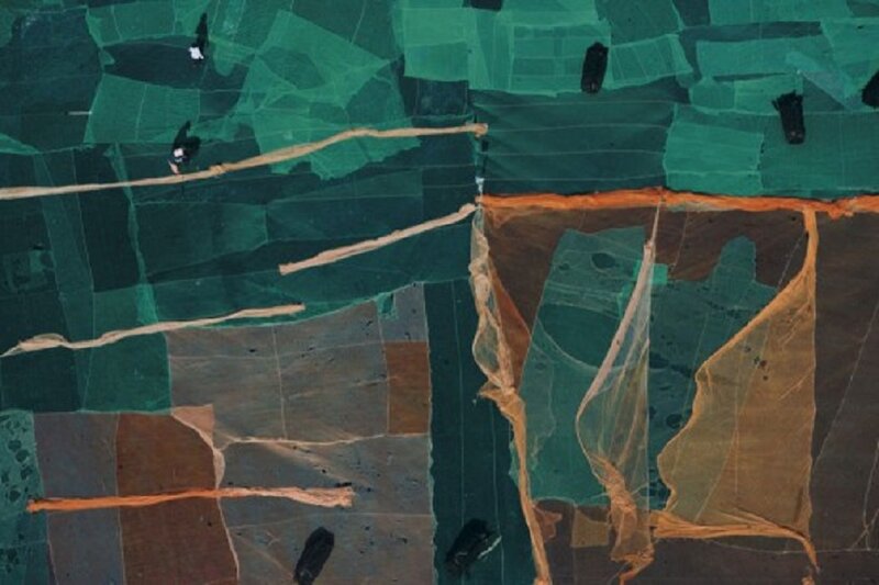 Aerial View of Fields