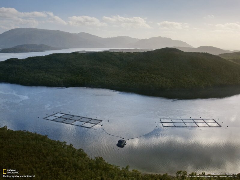 Aerial view of fish farms