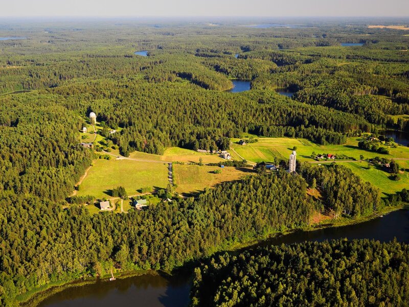 Aerial view of forest and lake