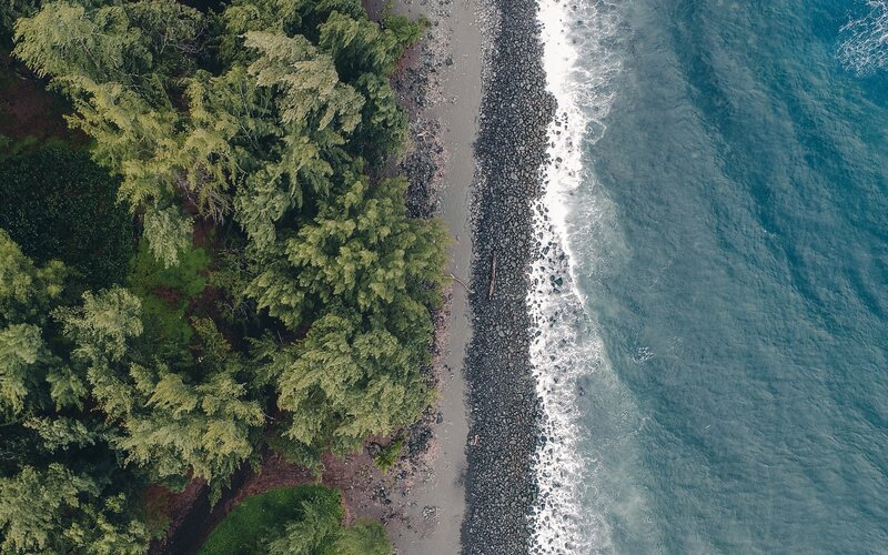 Aerial View of Forest and Ocean