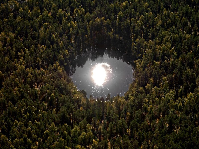 Aerial view of forest lake