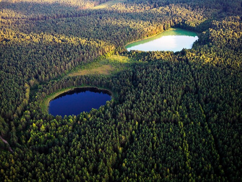 Aerial view of forest lakes