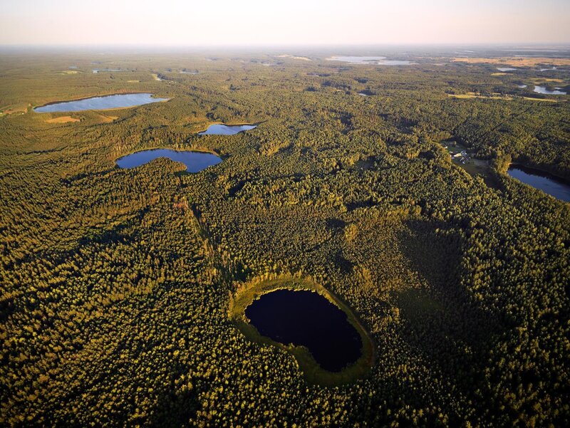 Aerial view of forest lakes