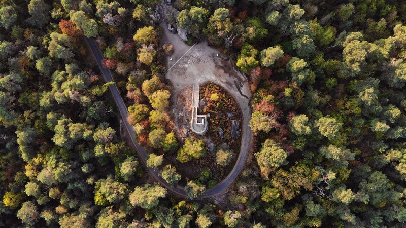 Aerial View of Forest Road — Green, Serene, Autumn