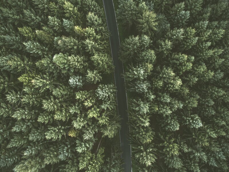 Aerial view of forest road