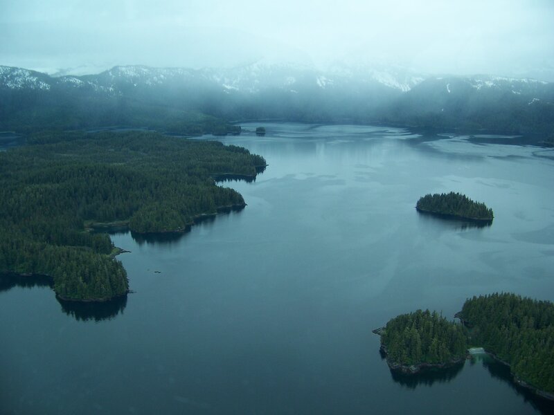 Aerial view of forested islands