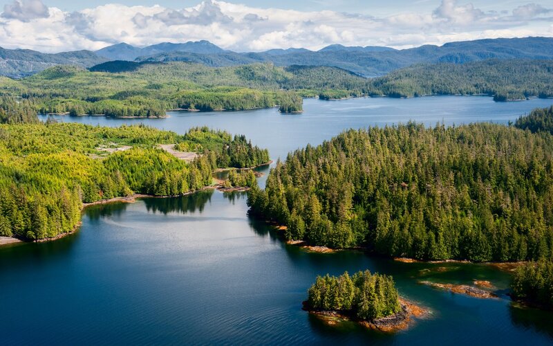Aerial View of Forested Lake — Blue