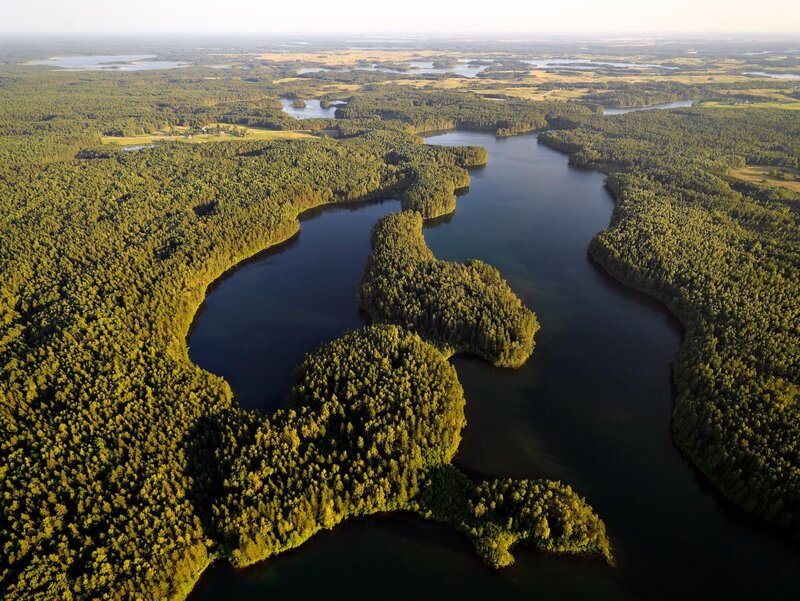 Aerial view of forested lake