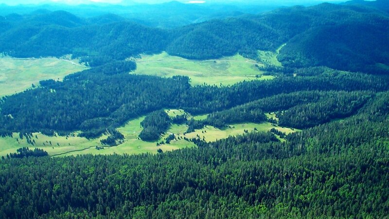 Aerial view of forested mountains
