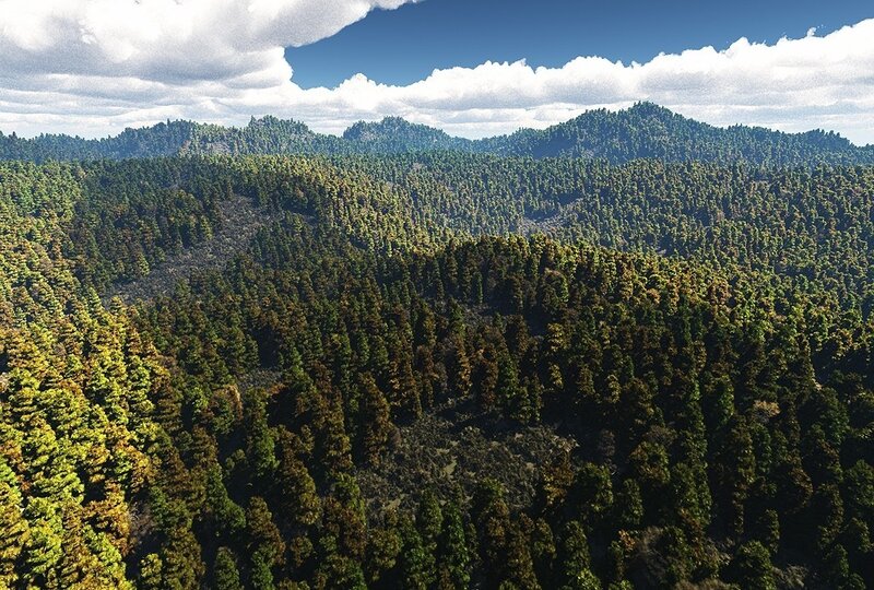 Aerial view of forested mountains