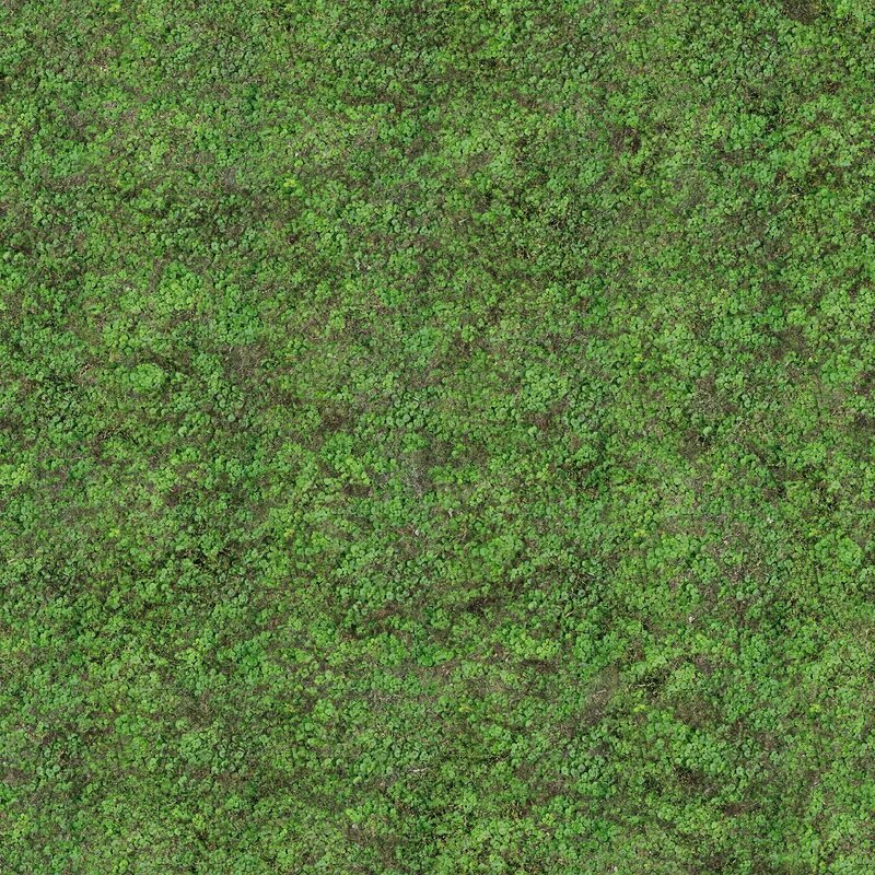 aerial view of green foliage