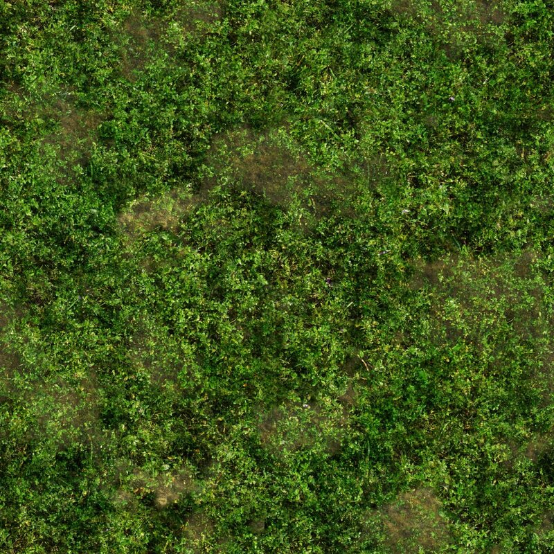 aerial view of green foliage