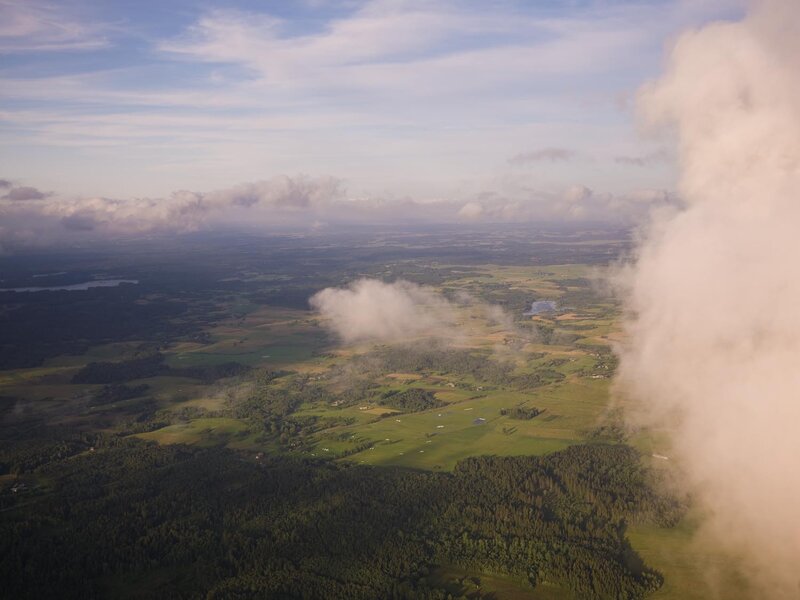 Aerial view of green landscape