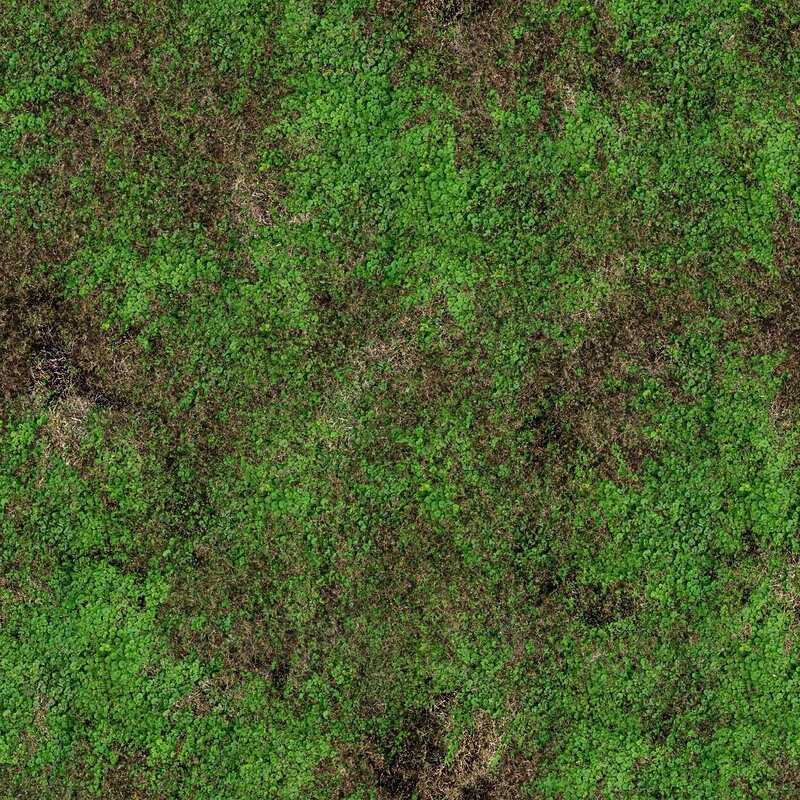 aerial view of green moss