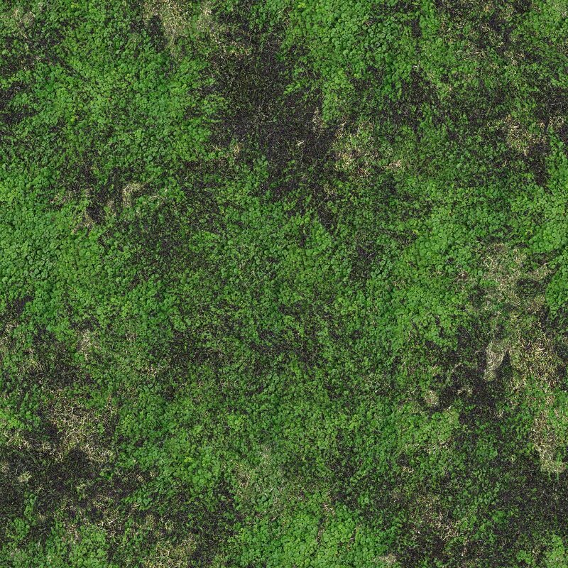 aerial view of green moss
