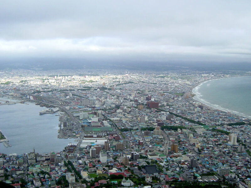 Aerial view of Hakodate city