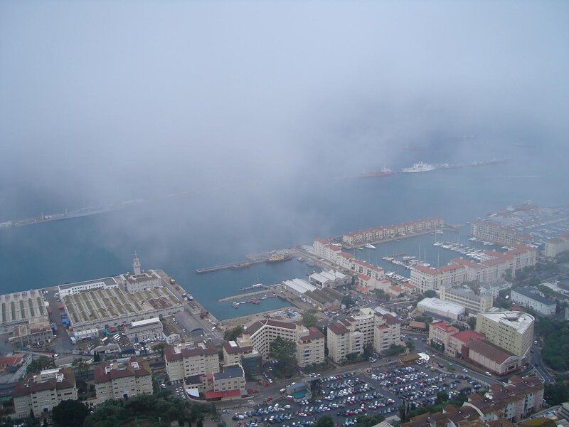 Aerial View of Harbor — Gray