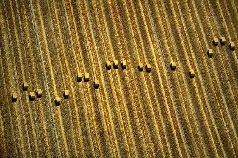 Aerial view of hay bales in a field