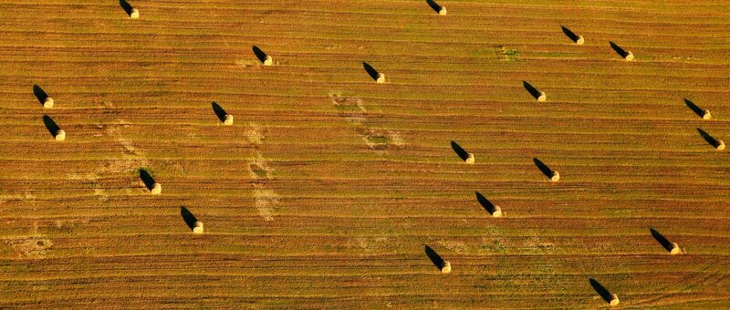 Aerial view of hay bales