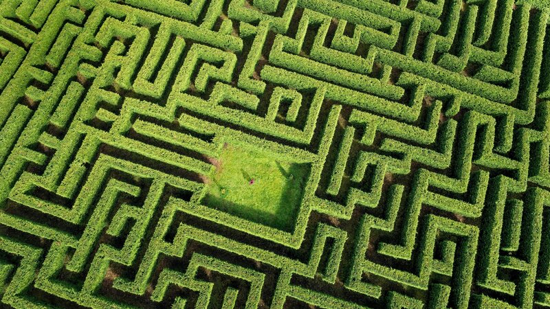 Aerial View of Hedge Maze — Green