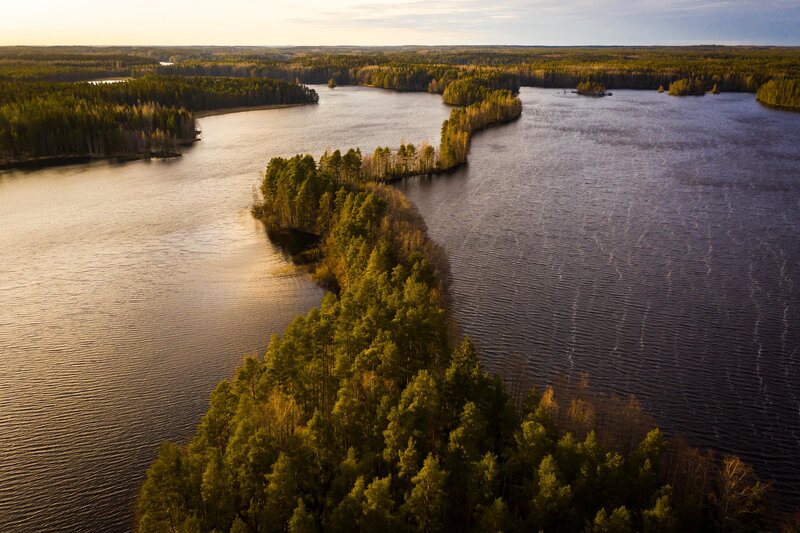 Aerial View of Lake and Forest — Green, Serene, Sunset