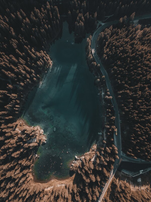 Aerial View of Lake and Forest — Green, Serene
