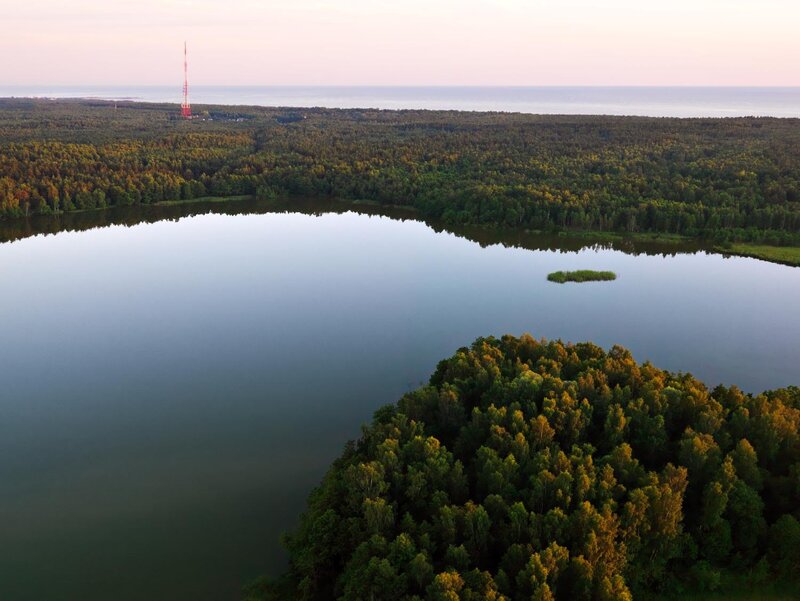 Aerial view of lake and forest