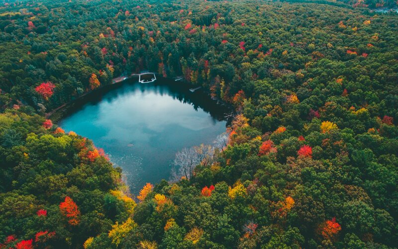 Aerial View of Lake — Green