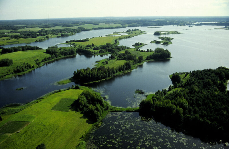 Aerial View of Lake Islands — Green, Serene