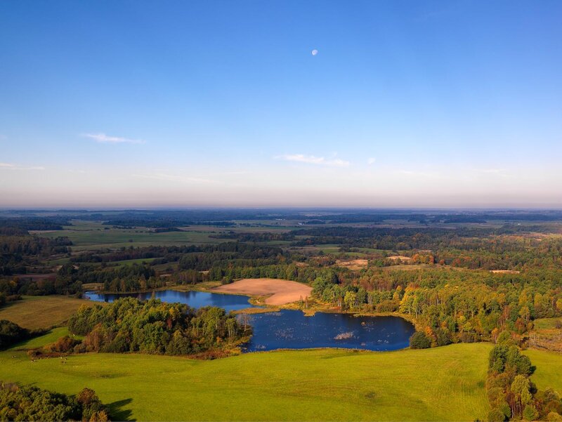 Aerial view of lakes and forests