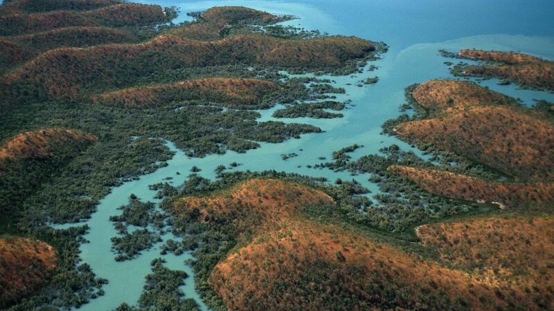 Aerial view of mangrove islands