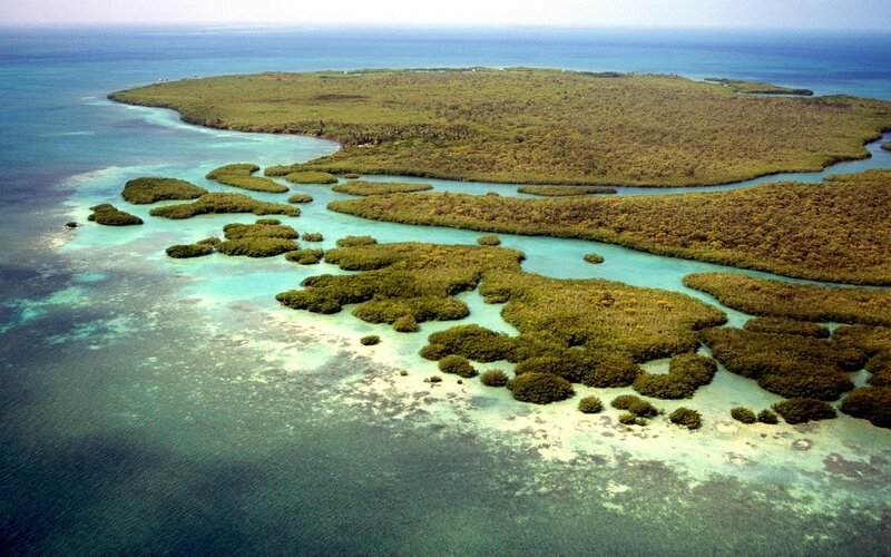 Aerial view of mangrove islands