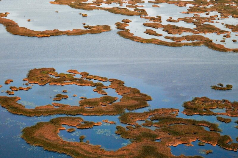 Aerial view of marsh islands