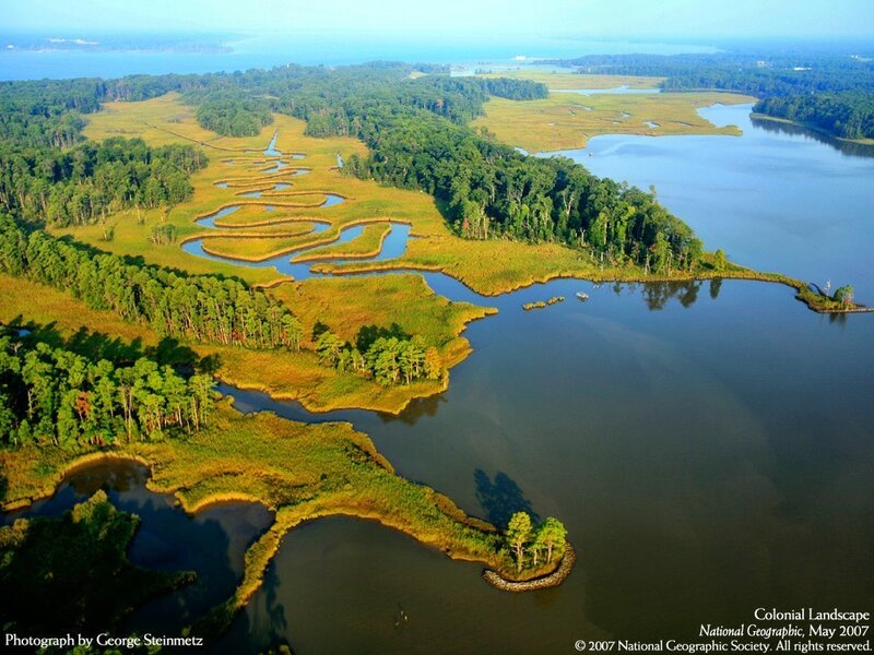 Aerial View of Marshland