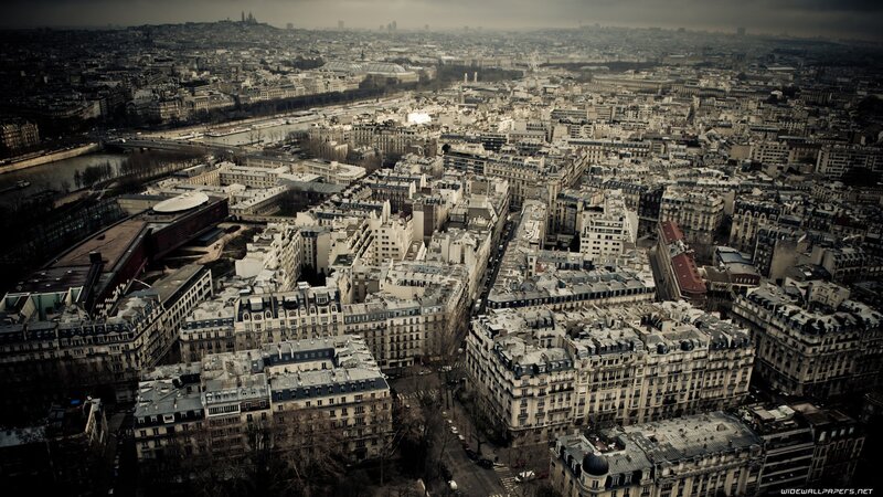 aerial view of paris cityscape